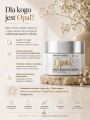 opal grafika 5.png